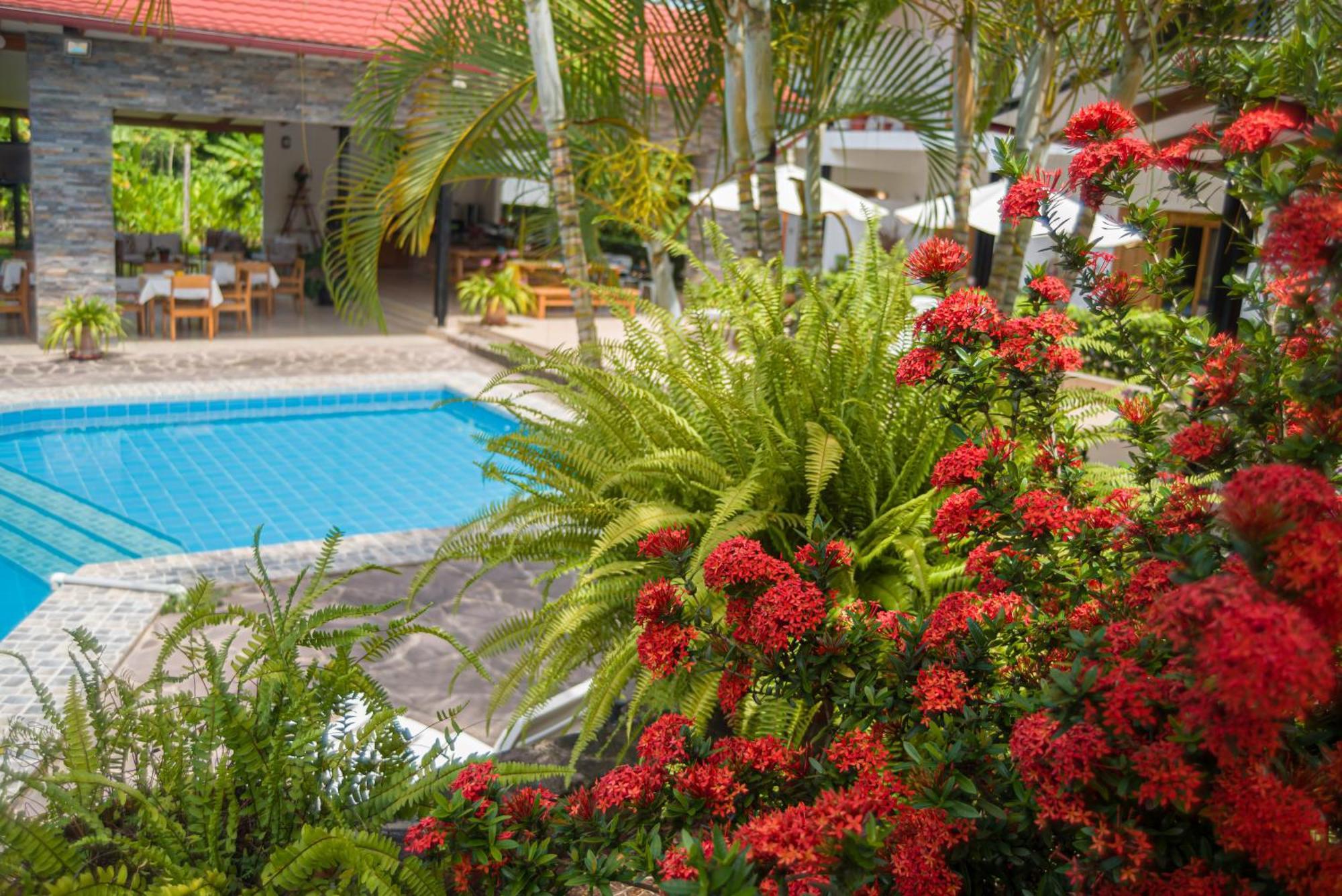 Hotel Colina De Montalva à Tarapoto Extérieur photo